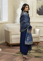 Mona’s Winter Glow Dhanak Dress MWG6