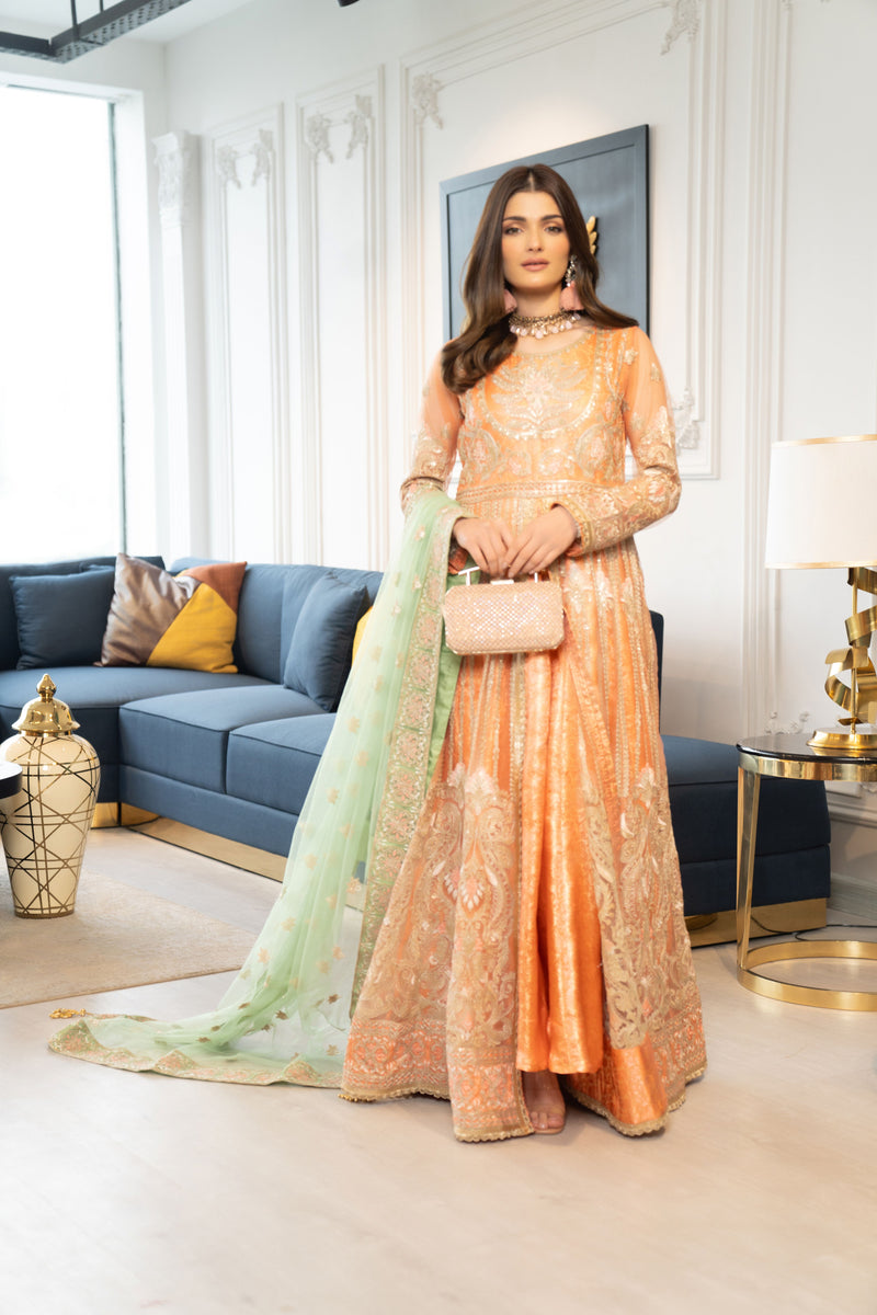 ALEEZAY LUXURY HERITAGE EID COLLECTION AE2