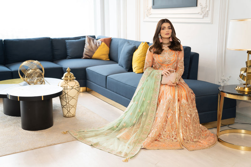 ALEEZAY LUXURY HERITAGE EID COLLECTION AE2