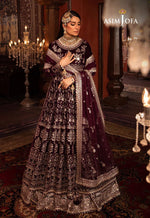 ASIM JOFA MAKHMAL WEDDING VELVET 11