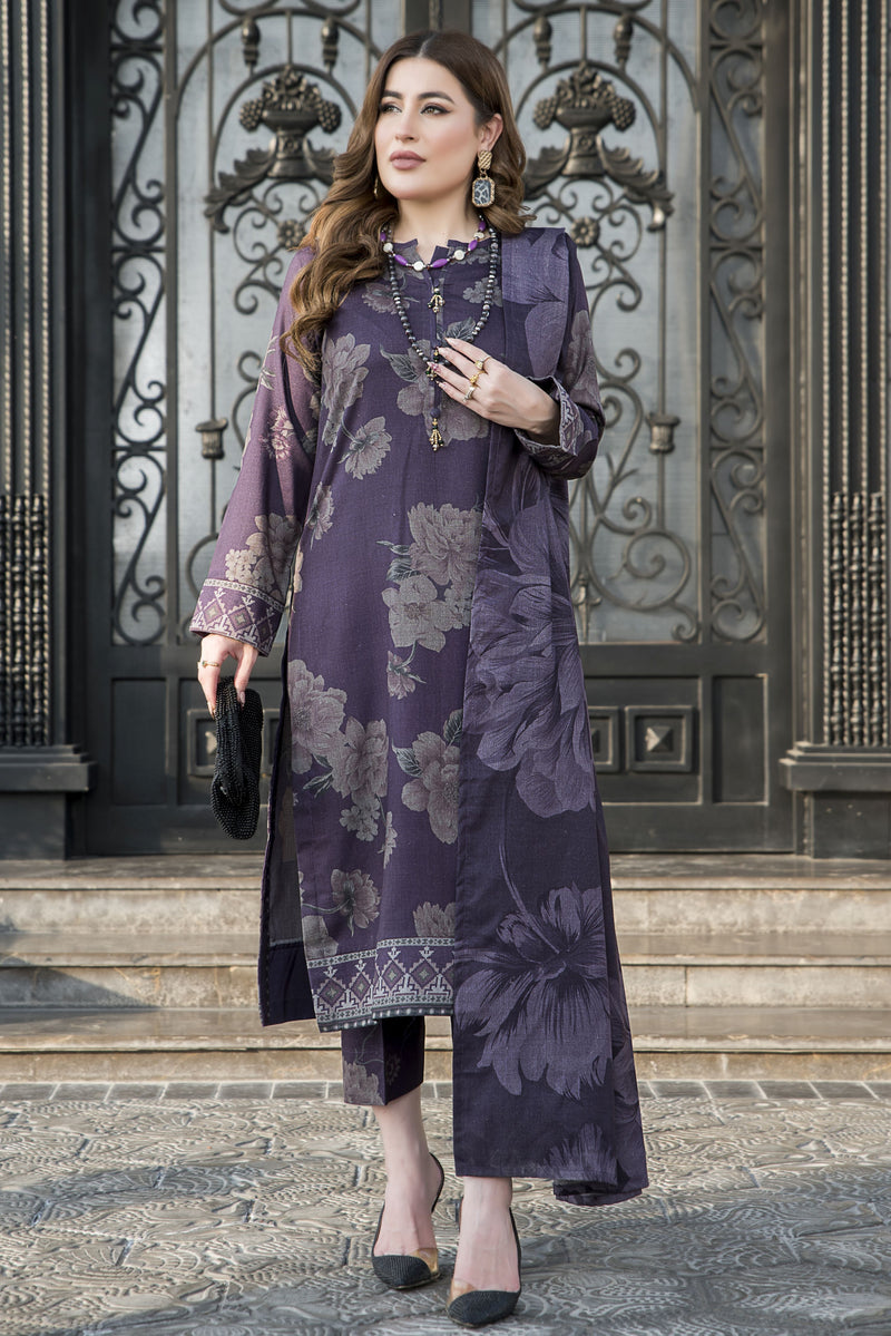 Snowlit Grace by Aabpara Winter Dhanak Dress SLG2