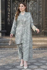 Snowlit Grace by Aabpara Winter Dhanak Dress SLG3