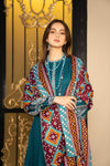 3PC WOOL SHAWL COLLECTOIN BY AABPARA ABV5