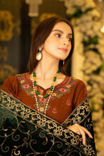 3PC VELVET SHAWL COLLECTOIN BY AABPARA ABV1