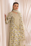 Rang Bahaar Ready to Wear By Mohgni RBM1