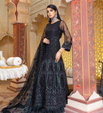 Luxury Formal Ready To Wear Net Collection By NOORMA KAMA 04