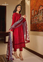 ASIM JOFA RANIA 01