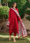 ASIM JOFA RANIA 01