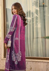 ASIM JOFA RANIA 17