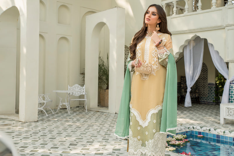 Ready to Wear Chiffon Embroidered Collection by Aleezay 01