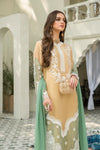 Ready to Wear Chiffon Embroidered Collection by Aleezay 01