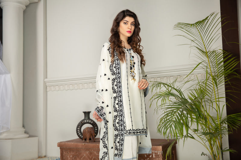 Gulwarun Winter Ready to Wear Embroidered Collection 11