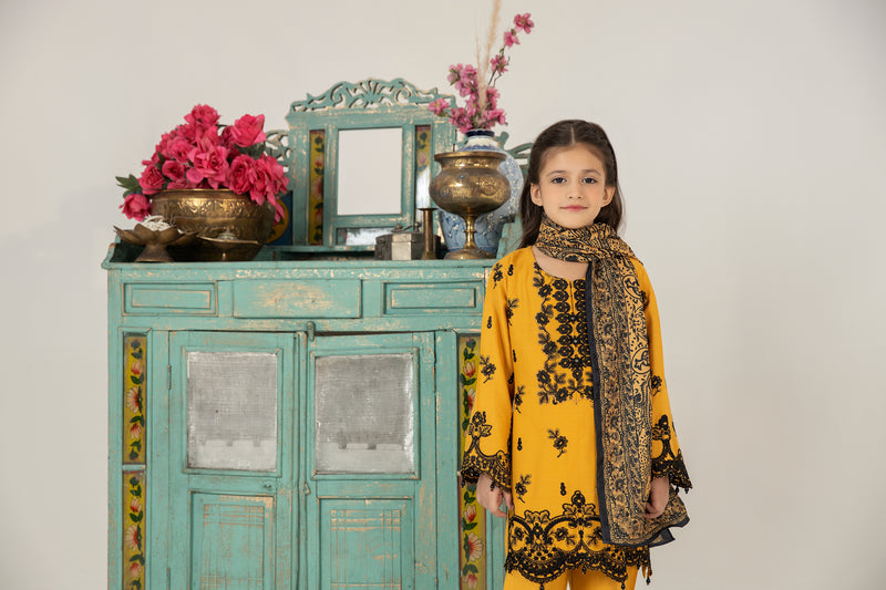 MONA KIDS EMBROIDERED DHANAK DRESS 05