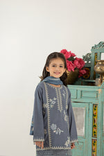 MONA KIDS EMBROIDERED DHANAK DRESS 09