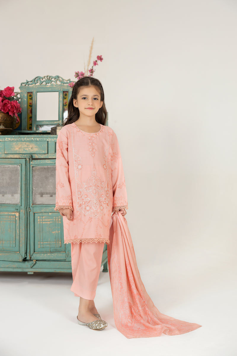 MONA KIDS EMBROIDERED DHANAK DRESS 08