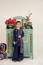 MONA KIDS EMBROIDERED DHANAK SHARARAH DRESS 04