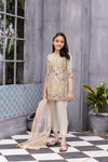 Kids Formal Organza Ready to Wear Embroidered Collection by Zara Manan 03