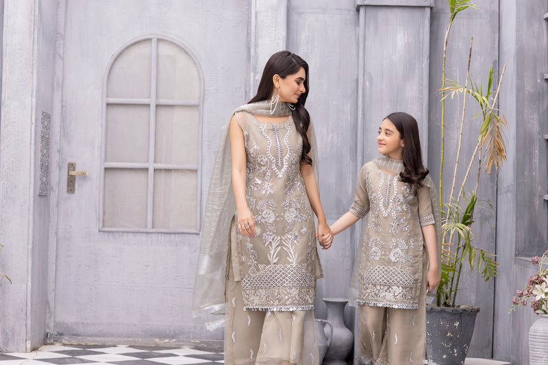 Formal Organza Ready to Wear Embroidered Collection by Zara Manan 04